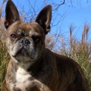 Meet your Posher, Jeffrey